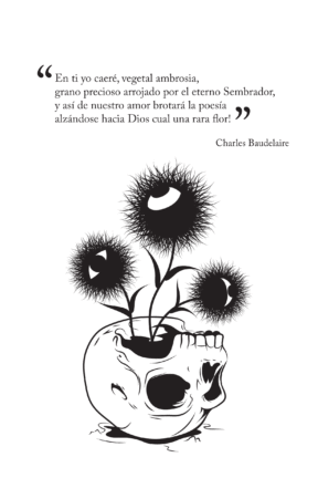 flores del mar en un craneo