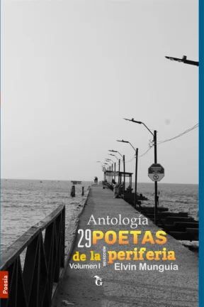 portada antología 29 poetas de la periferia
